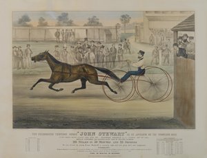 Le célèbre cheval trotteur John Stewart tel qu